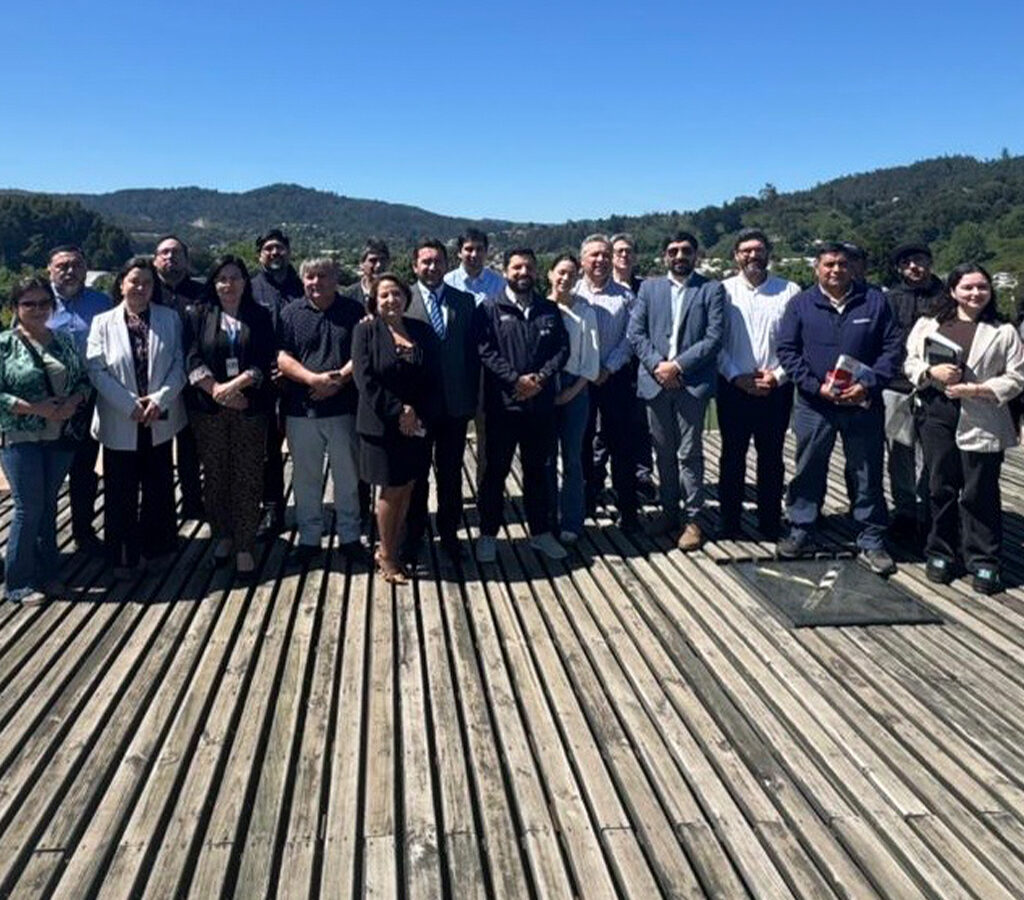 Iniciativa de la seremi de Minería regional busca reactivar la actividad minera local, fomentando el intercambio de experiencias, la innovación y el desarrollo tecnológico.