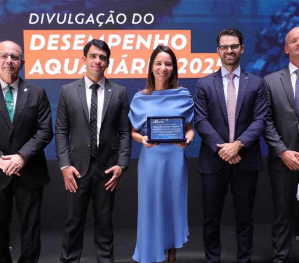 Se prevé que la tendencia al alza del tráfico portuario se mantendrá durante los próximos años. Para 2030, el sector portuario brasileño movilizará 1590 millones de toneladas.| Foto: Antaq