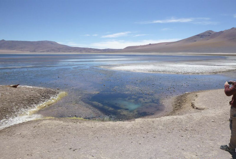 Lithium Chile se asocia con Eramet para explorar cuatro propiedades chilenas