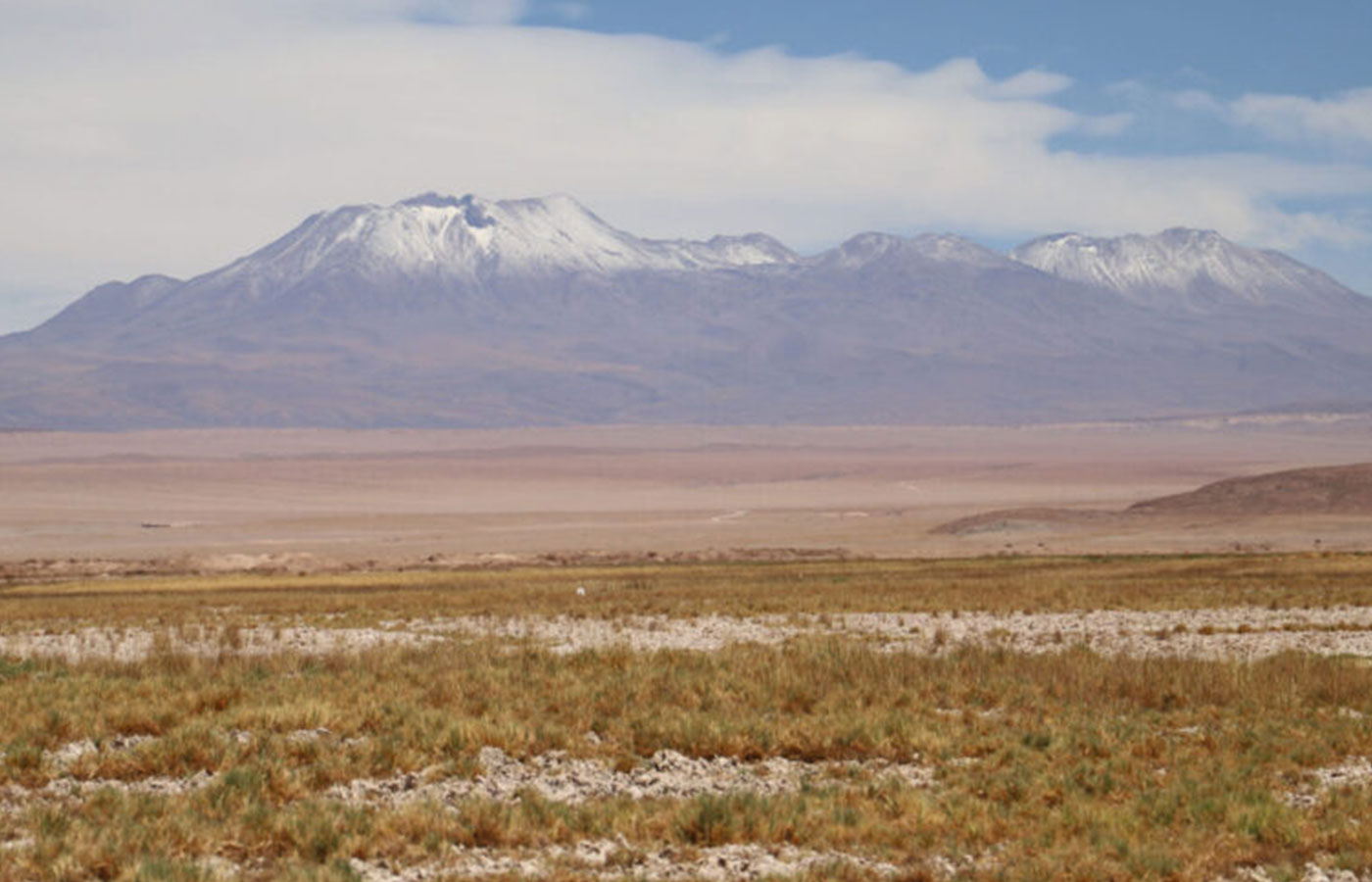 Chile: Minera Escondida recibe histórica multa por daño ambiental irreparable