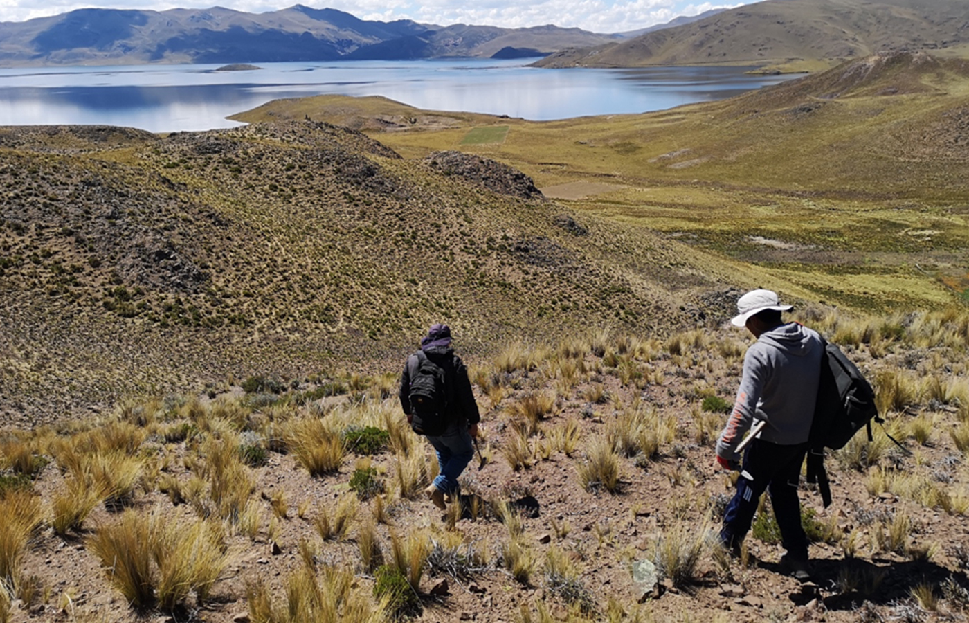 Perú: Palamina prepara estudio para definir objetivos de perforación en Galena