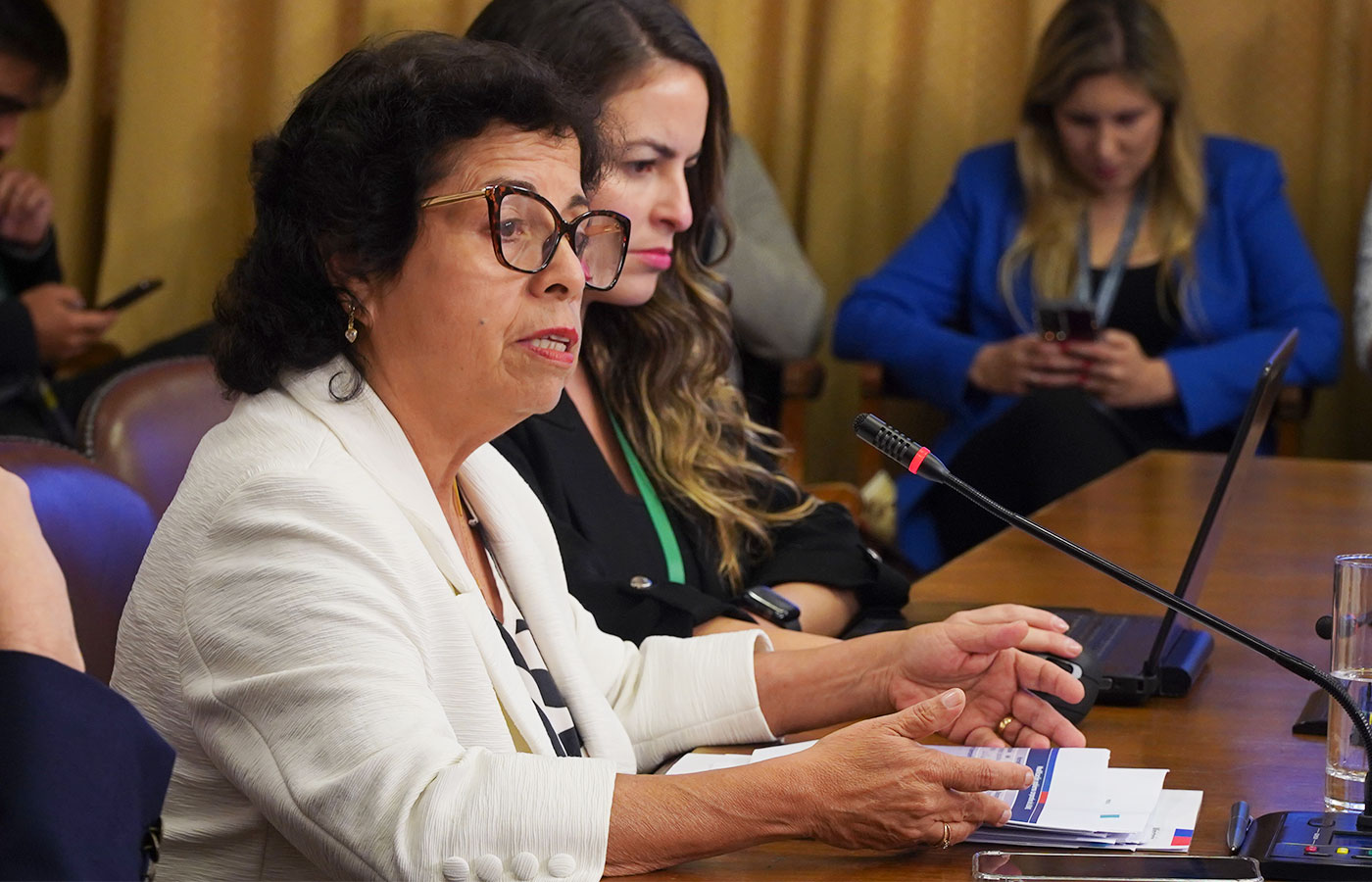 Ante la Comisión de Minería y Energía de la Cámara de Diputadas y Diputados, la ministra Aurora Williams presentó la propuesta.| Crédito: Ministerio de Minería