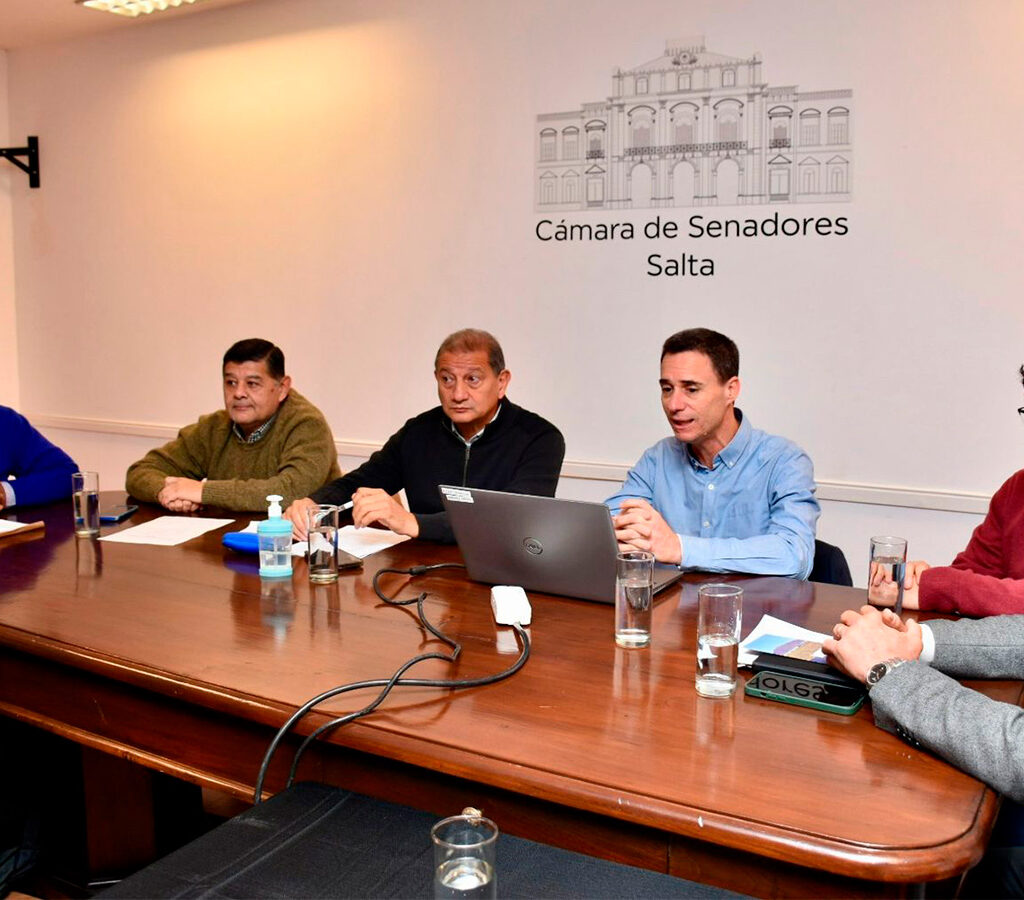 Directivos de Río Tinto ofrecieron detalles del proyecto de litio Rincón. | Crédito: Cámara de Senadores de Salta