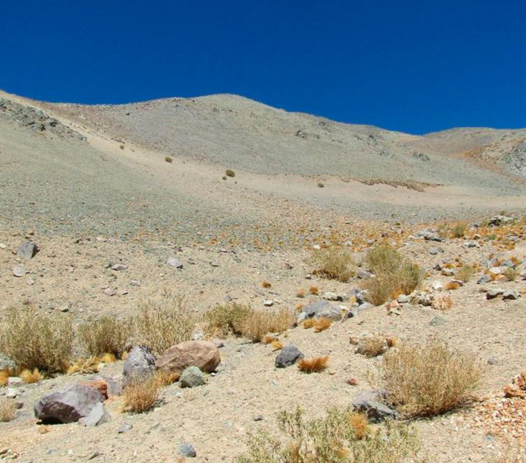 Con la admisión a trámite se da inicio al procedimiento de reclamación ante el Primer Tribunal Ambiental. | Crédito: Primer Tribunal Ambiental
