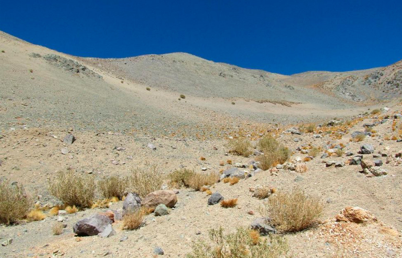 Con la admisión a trámite se da inicio al procedimiento de reclamación ante el Primer Tribunal Ambiental. | Crédito: Primer Tribunal Ambiental