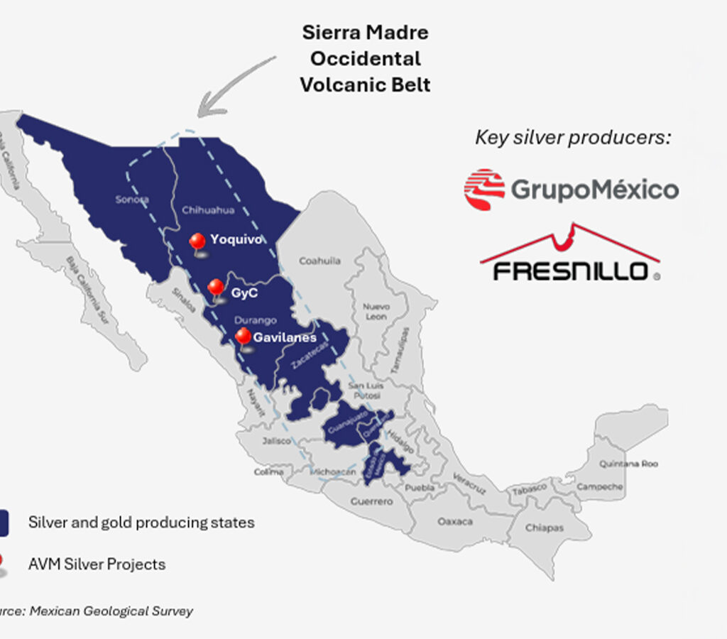 Proyecto Guadalupe y Calvo se ubica a medio camino entre el proyecto Yoquivo, en Chihuahua, y el proyecto Gavilanes en Durango, México.| Crédito: Advance Metals