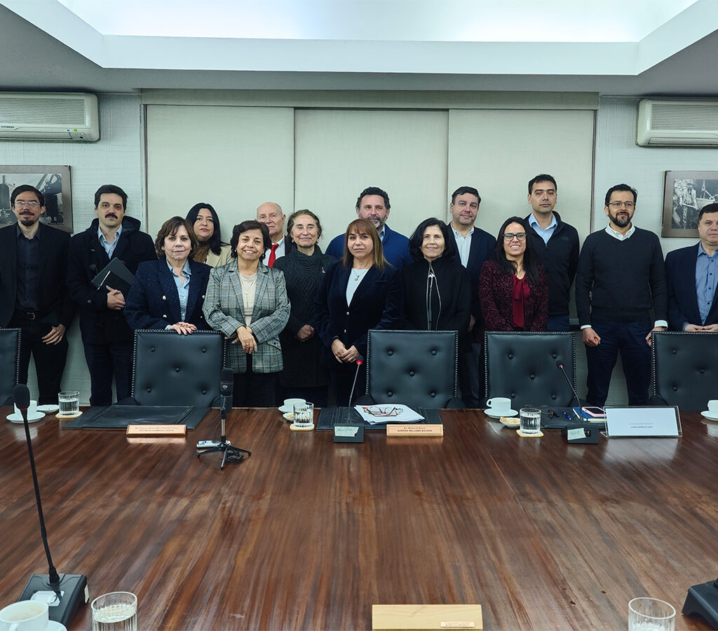 Ahora solo resta la firma para celebrar el primer CEOL en el marco de la Estrategia Nacional del Litio.| Crédito: Cochilco