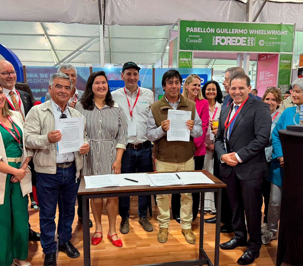 44 000 hectáreas de la Compañía Minera del Pacífico (CMP) están disponibles para el arriendo de concesiones mineras.| Crédito: Enami