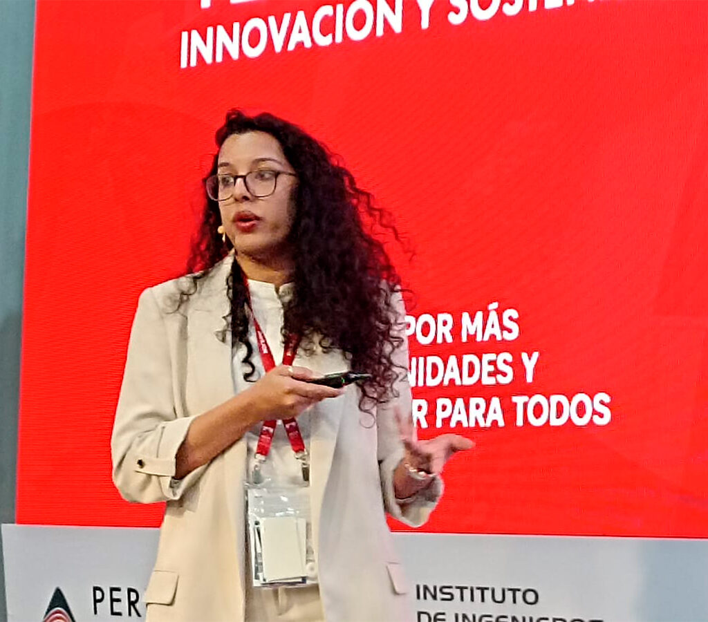 Aplicación de Stratum AI en depósito IOCG permitió identificar y confirmar 7.7 kt de cobre adicionales (equivalentes a USD 64 millones) mediante solo 2200 metros de perforación.| Crédito: IIMP