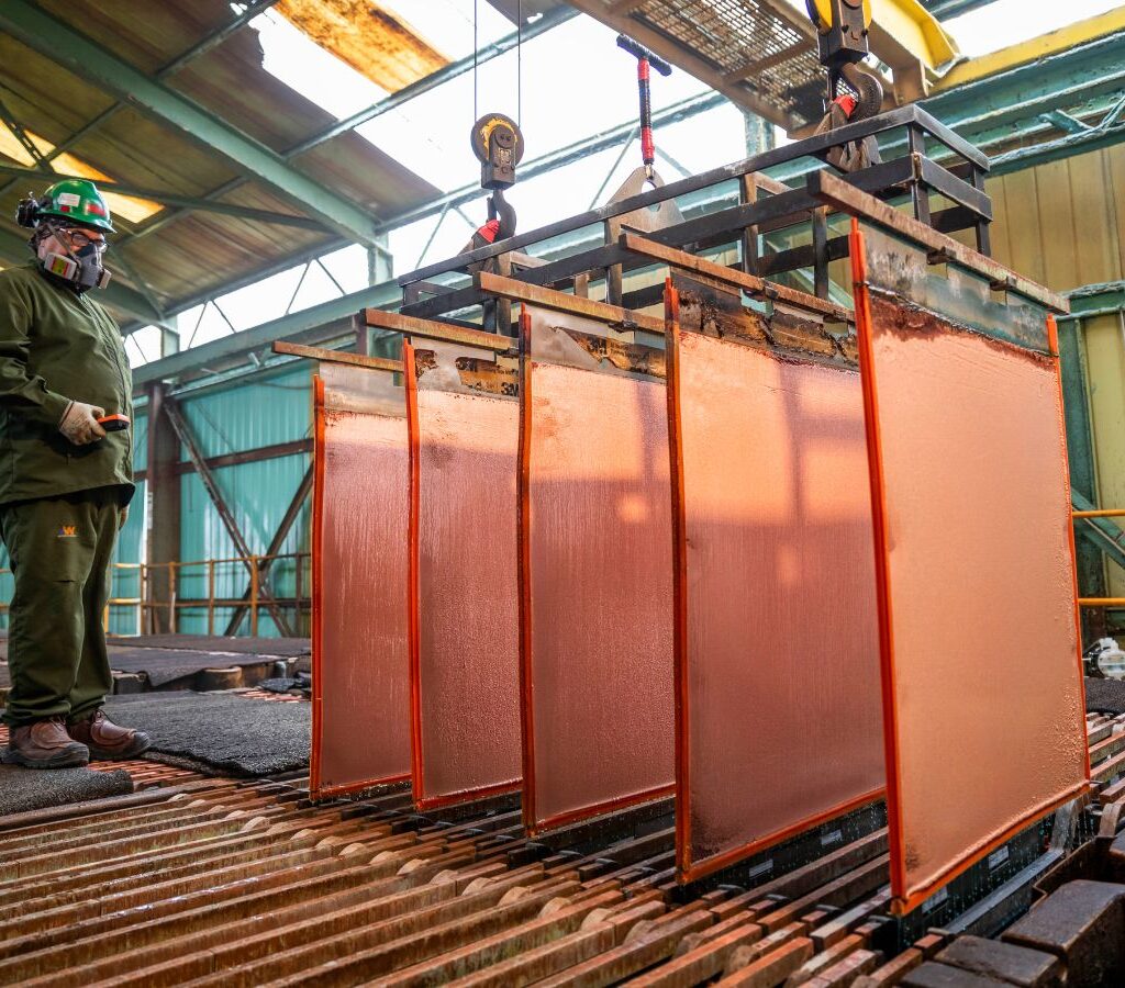 Los emprendedores seleccionados recibirán entrenamiento en distintas herramientas como tracción de ventas, comunicación o levantamiento de capital, acceso a redes y a la industria vía networking.| Crédito: Enami