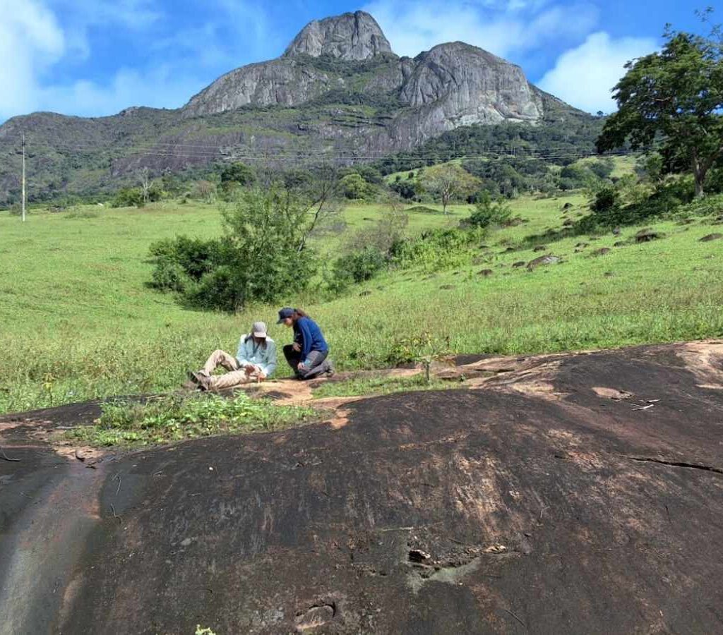 La investigación, que inició en el segundo semestre de 2025, busca ampliar el conocimiento geológico de una región con alto potencial para minerales estratégicos, como litio, tierras raras y grafito.| Foto: SGB