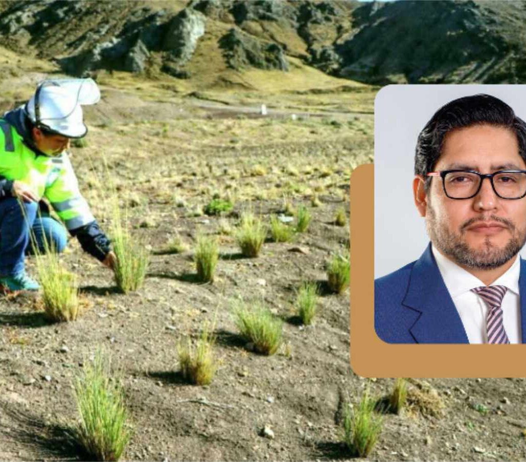 AMSAC destacó el potencial de una herramienta científica para mejorar la toma de decisiones y potenciar la inversión en estos proyectos.| Crédito: IIMP