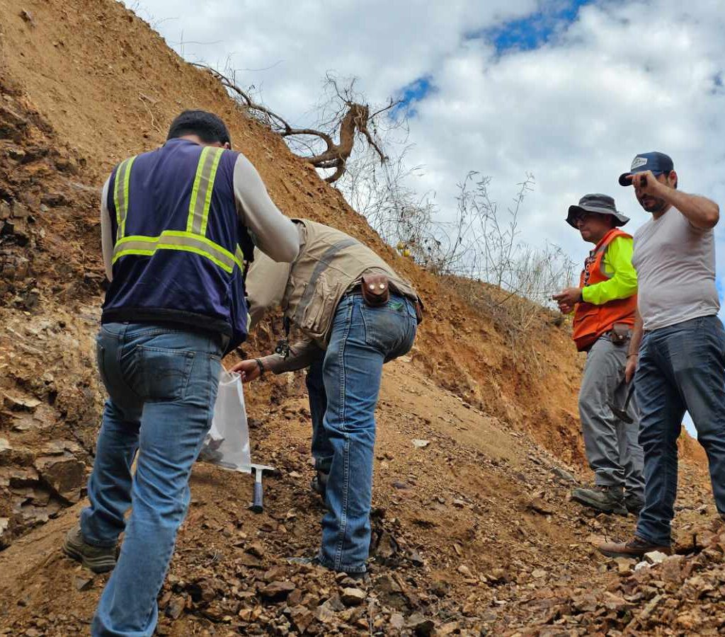 La transacción está valuada en USD15 millones y se realizará mediante el intercambio de acciones.| Foto: Silver Viper