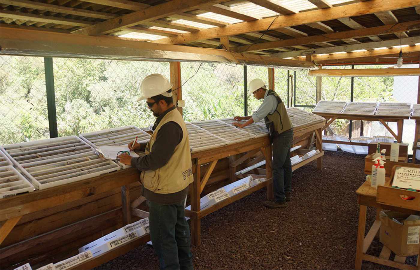 La fecha límite para completar la fusión es el 31 de agosto de 2026, con posibilidad de extensión.| Foto: Mexican Gold Mining