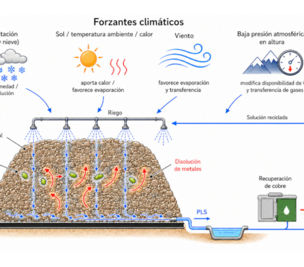 Diagrama del estudio publicado por Aldo Muñoz.| | Crédito: AMTC