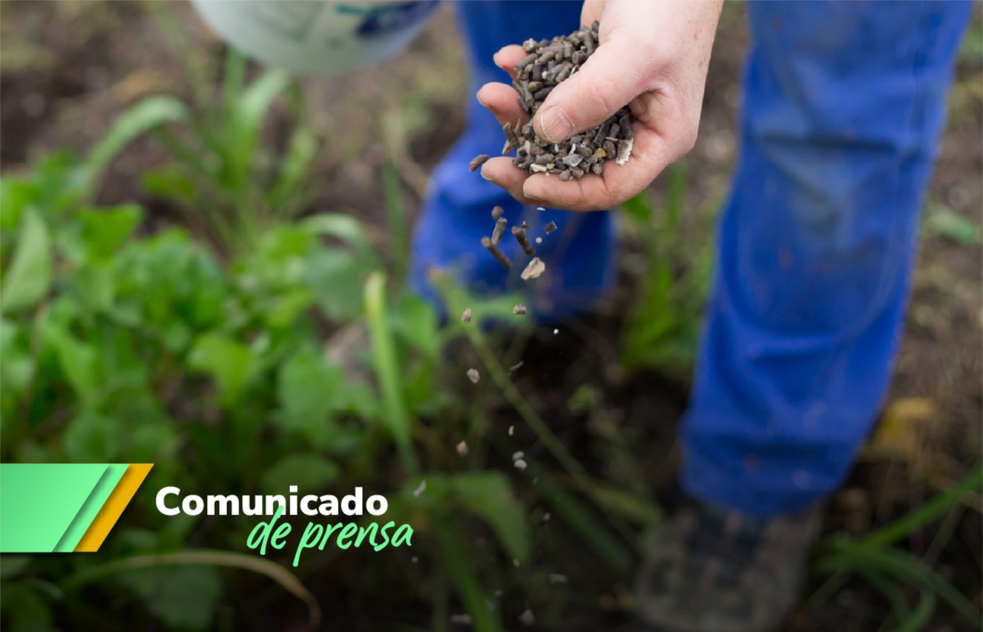La inclusión de estos nuevos bloques responde al alto potencial geológico que presenta Boyacá para la producción de roca fosfórica.| Foto: ANM